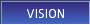 Vision